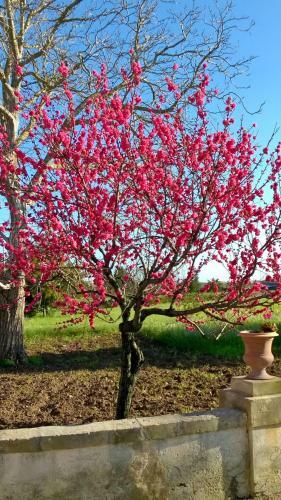 Bed & Breakfast Casa Vacanze Villa Urso