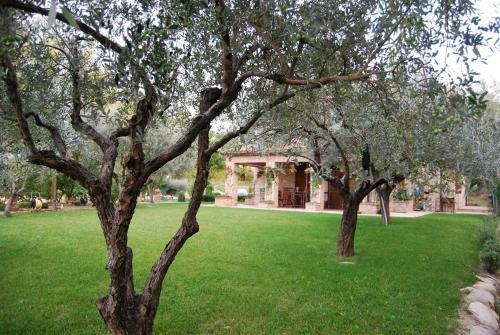 Bed And Breakfast La Casa Delle Rondini