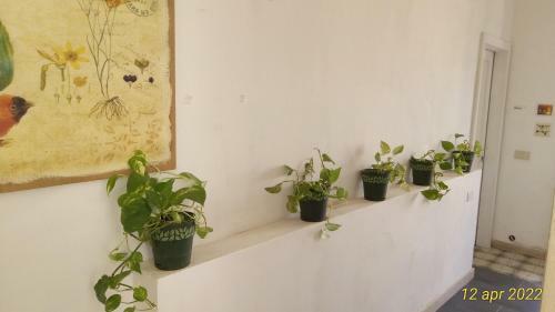 Bed & Breakfast Holiday Home Sulmare