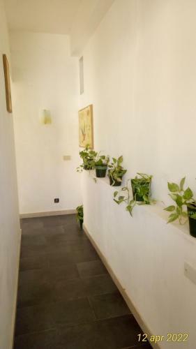 Bed & Breakfast Holiday Home Sulmare