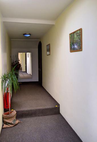 Hostal Penzion Na Zborov?