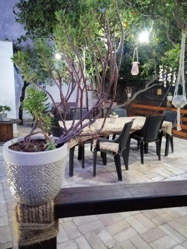 Hostal Sud Est Bed And Breakfast Salento
