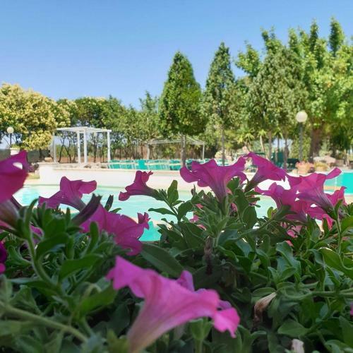 Grik� Country Hotel