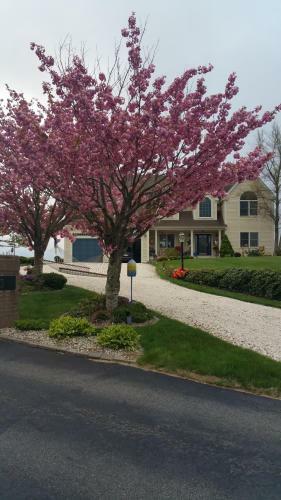 Bed & Breakfast Inn 38 Oak Bluff Circle