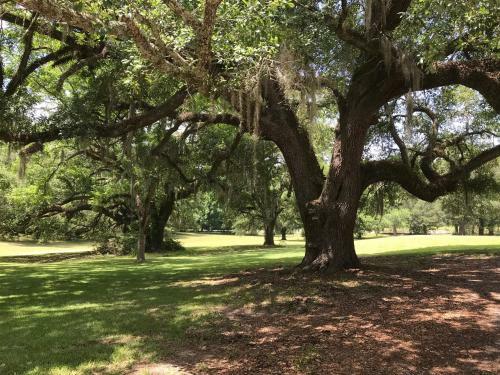 Bed & Breakfast Canemount Plantation Inn