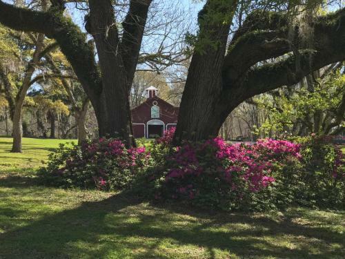 Bed & Breakfast Canemount Plantation Inn