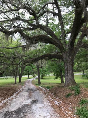 Bed & Breakfast Canemount Plantation Inn