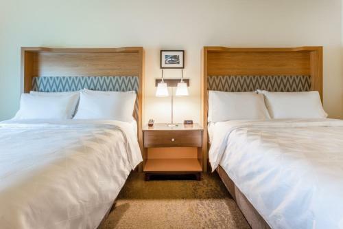 Hotel Holiday Inn & Suites Cedar Falls-waterloo Event Ctr