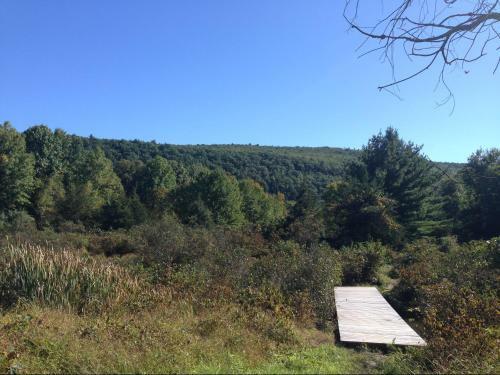 Tentrr - Clove Mountain Meadow