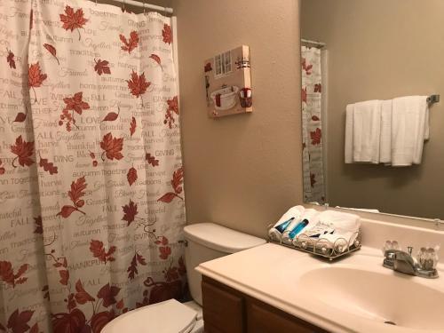 Luxurious 3 Bedroom House The Woodlands Tx