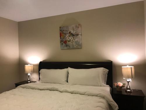 Luxurious 3 Bedroom House The Woodlands Tx