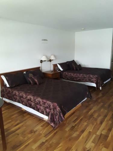 Plaza Motel Bryan