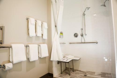 Hotel Holiday Inn Express & Suites - Wylie West