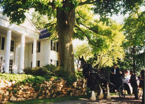 Bed & Breakfast Black Horse Inn