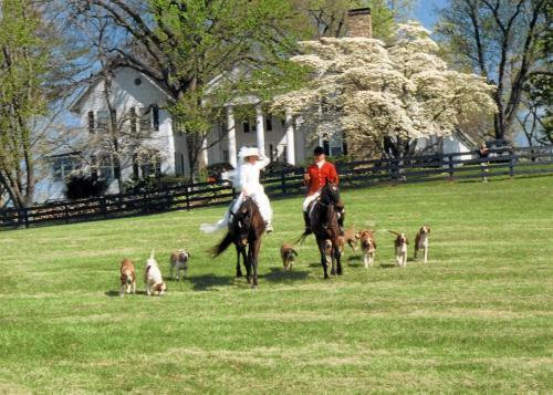 Bed & Breakfast Black Horse Inn