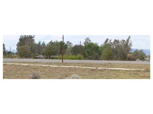 Cozy 2 Br On 4 Acres With Orchard