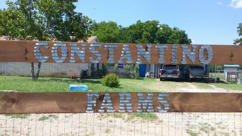 Constantino Farms
