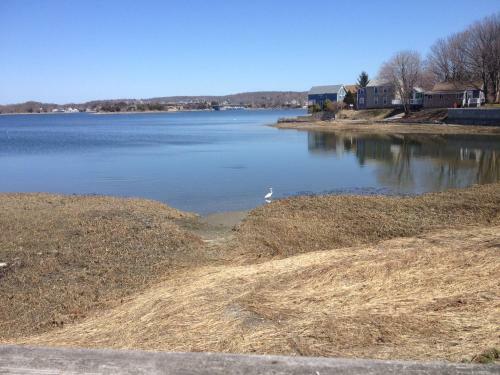 Cedar Cove Cottage