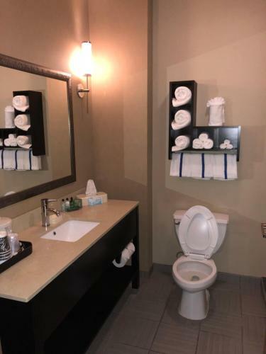 Hotel Countryview Inn & Suites