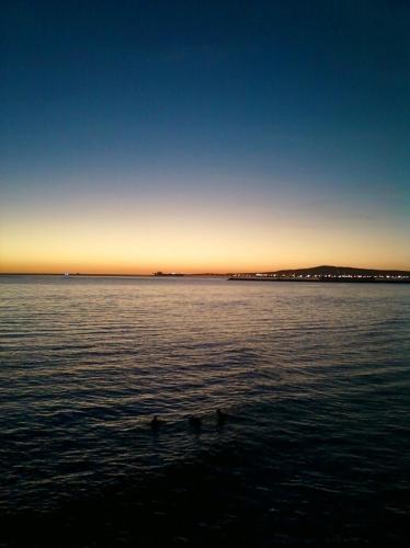 "california Dreamin'