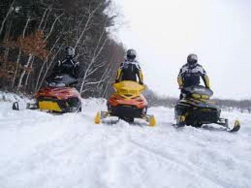 All Season Wonderland