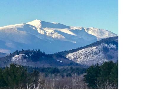 All Season Wonderland