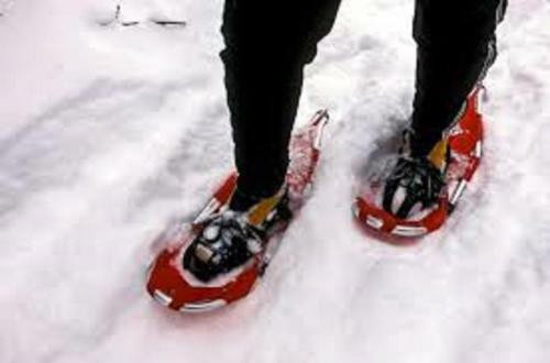 All Season Wonderland
