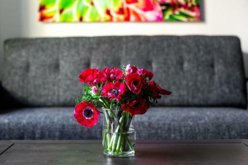 Apartamento Stay Alfred At The District