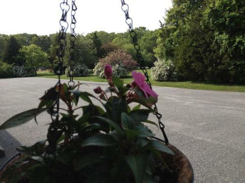 Westhampton Seabreeze Motel