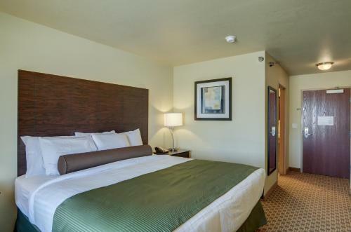 Hotel Cobblestone Inn & Suites - Oberlin