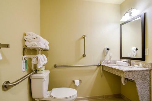 Hotel Cobblestone Inn & Suites - Oberlin