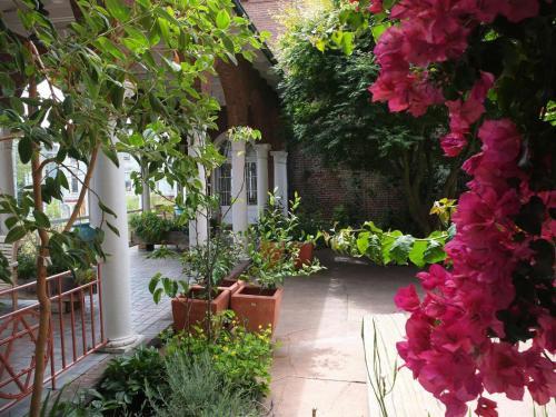 Bed & Breakfast San Francisco Zen Center