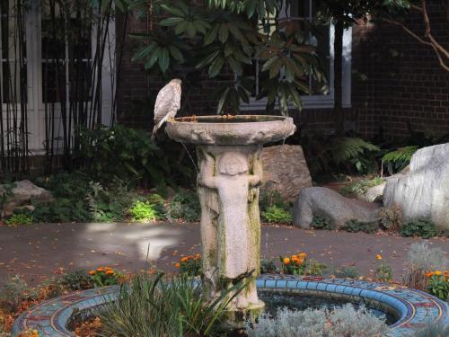 Bed & Breakfast San Francisco Zen Center