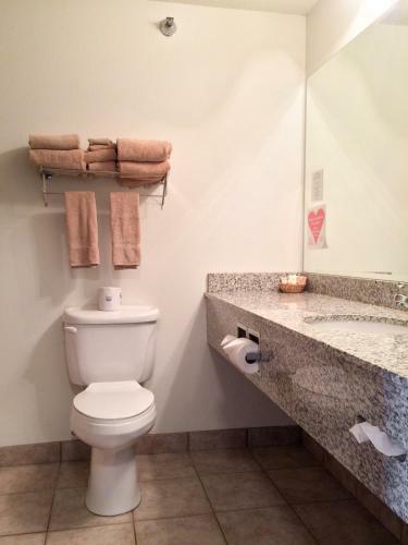 Hotel White Oak Inn And Suites