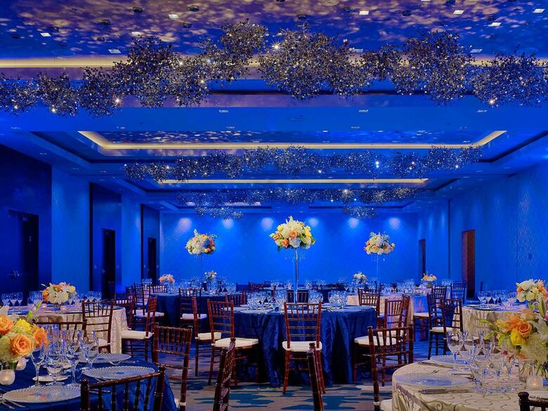 Hotel Sonesta Bee Cave Austin