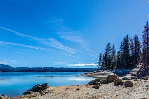 Redwood Haven