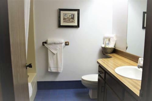 Motel Basswood Resort