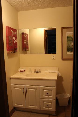 Motel Basswood Resort