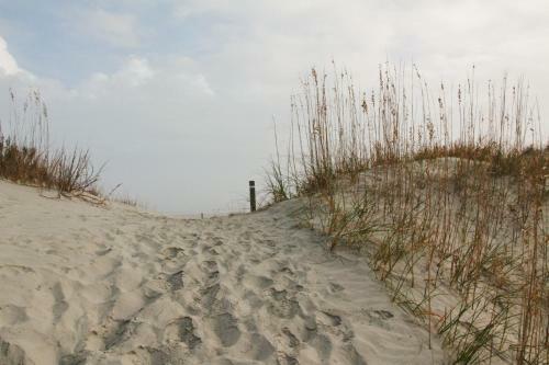 Catesby's Bluff 2240