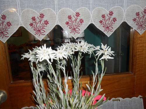 Hotel Albergo Genzianella