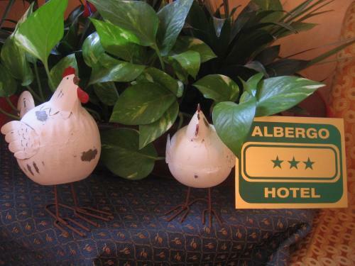 Hotel Paradiso