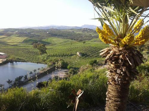 Agroturismo Ciuci's Manor