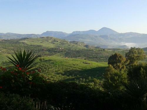 Agroturismo Ciuci's Manor