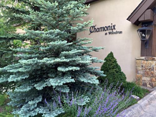 Apartamento Chamonix Snowmass Condominiums