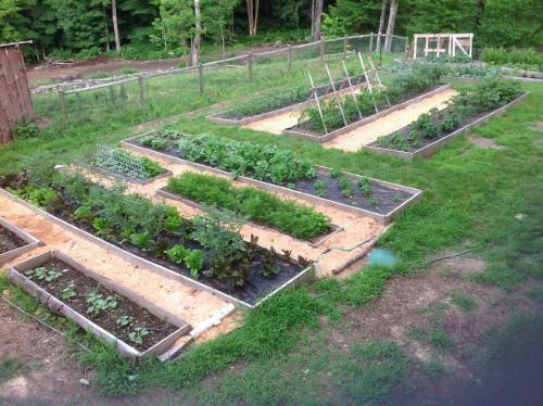 Cold Moon Farm B&B
