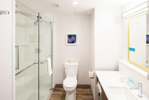 Hotel Hampton Inn & Suites Rocky Hill - Hartford South