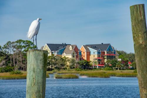 Hotel TRYP By Wyndham Sebastian St Augustine