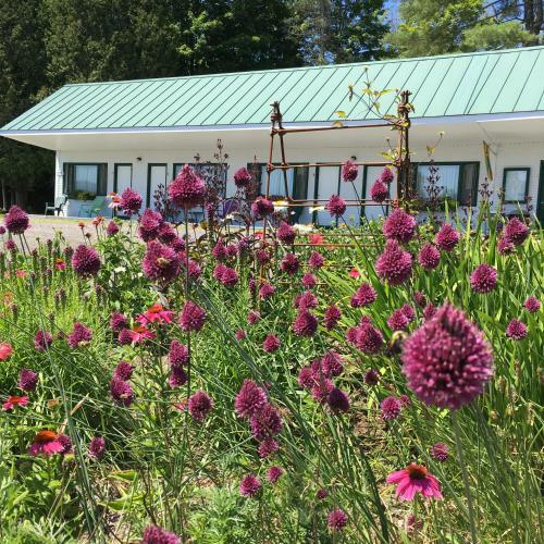 Marshfield Inn & Motel