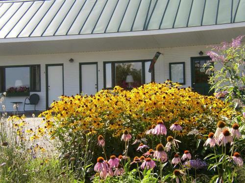 Marshfield Inn & Motel