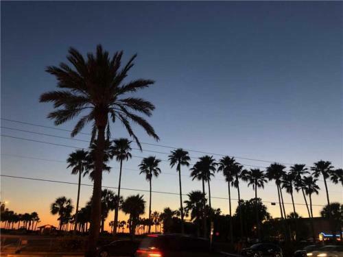 502 Sandy Shores Condos